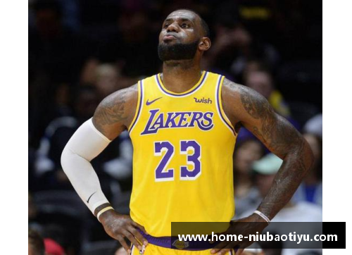 NBA简介及其影响力对篮球运动的全球发展